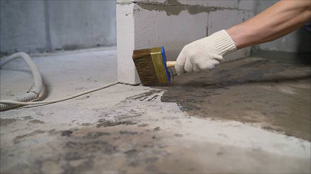 SJ Waterproofing Pros Basement Waterproofing coverage map for Holland, MI and surrounding area